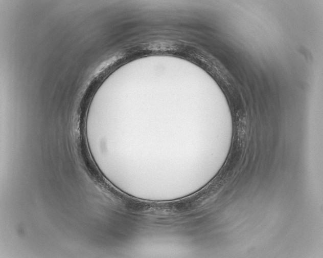 X0000115240727200911271842