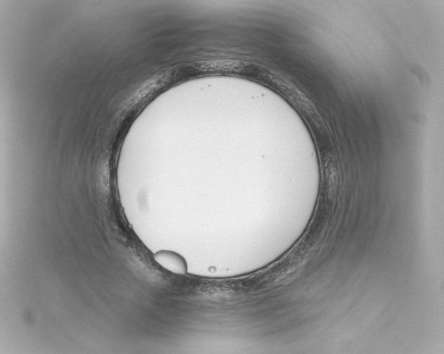 X0000115240729200911271842