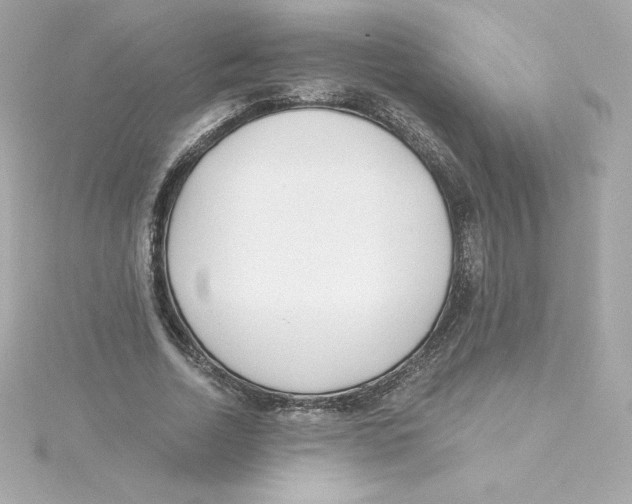 X0000115240730200911271842