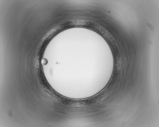 X0000115240731200911271842