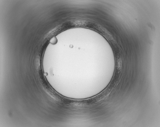 X0000115240733200911271842