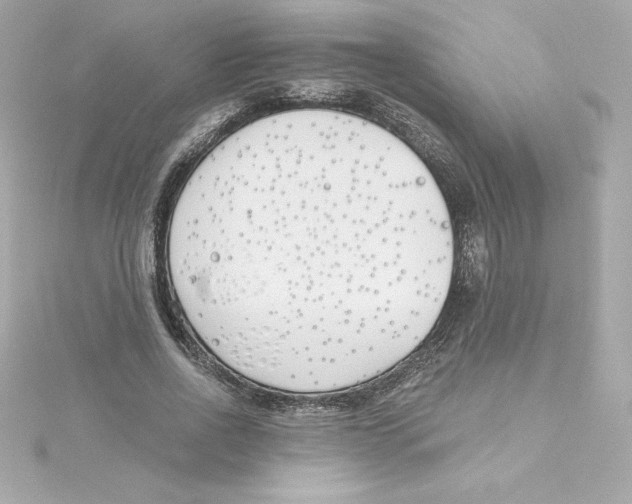 X0000115240734200911271842