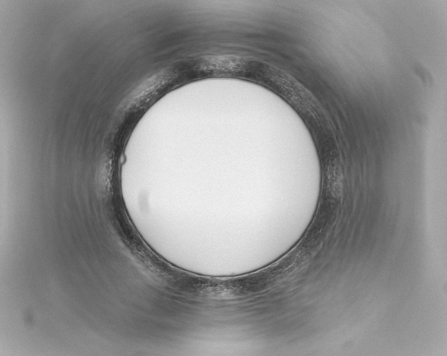 X0000115240735200911271842