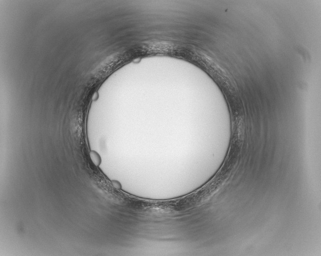 X0000115240737200911271842