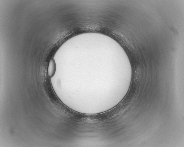 X0000115240739200911271842