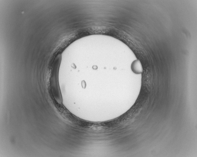 X0000115240742200911271842