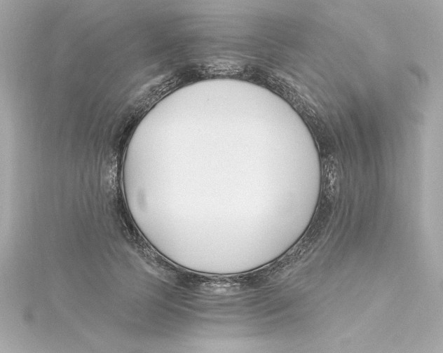 X0000115240745200911271843