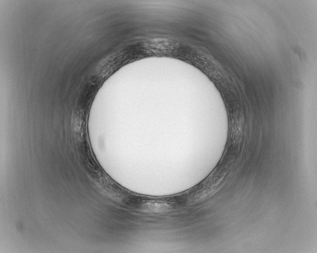 X0000115240749200911271843