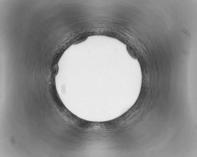 X0000115240750200911271843