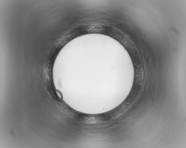 X0000115240755200911271843