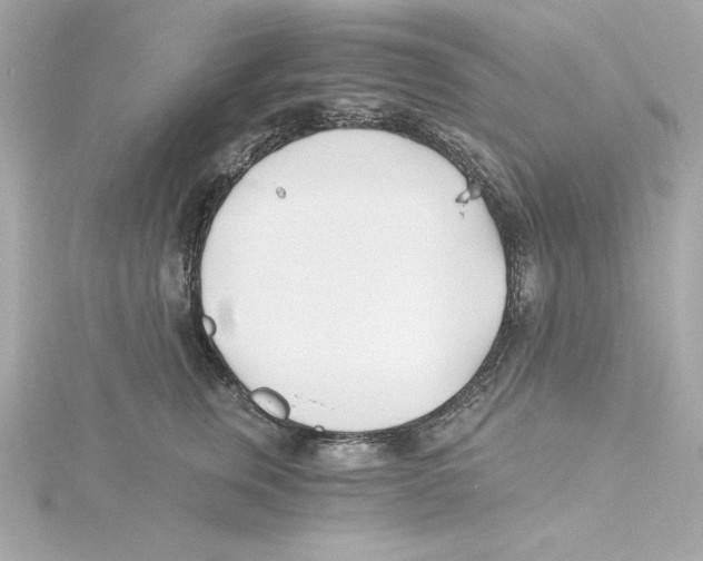 X0000115240759200911271843