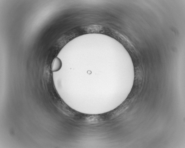 X0000115240761200911271843