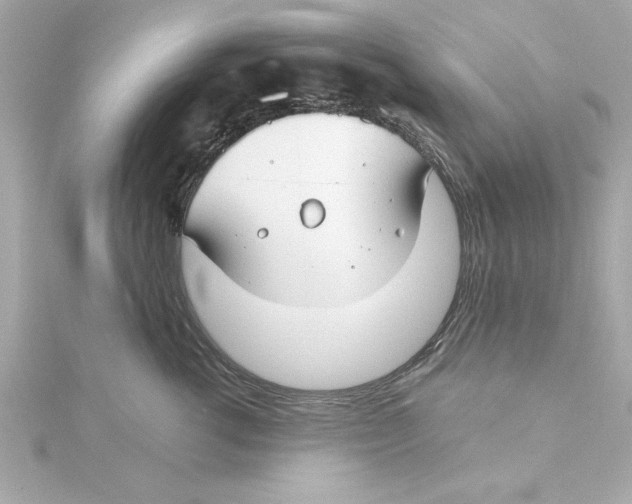 X0000115240762200911271843