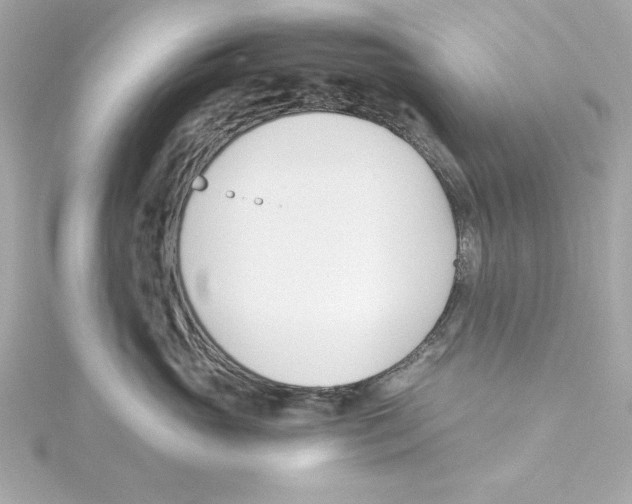 X0000115240765200911271843