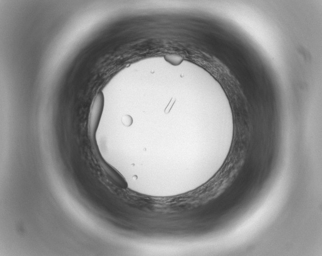 X0000115240766200911271843