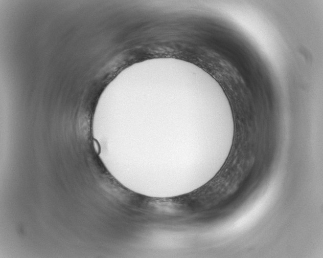 X0000115240767200911271843