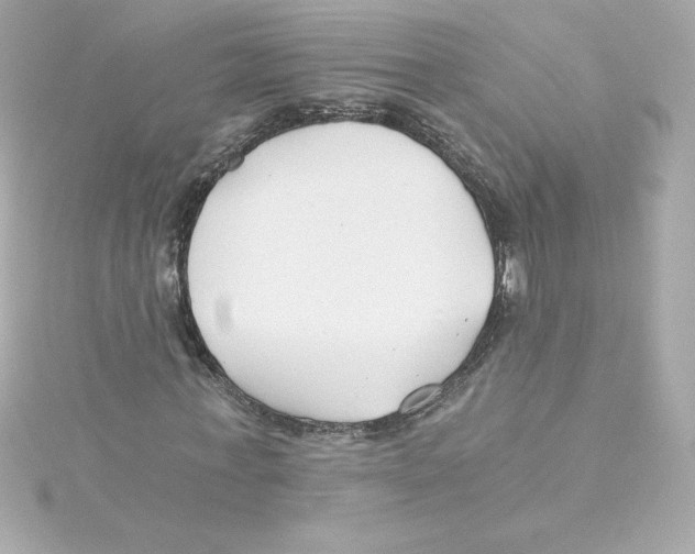 X0000115240771200911271842