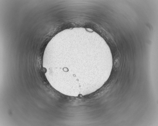 X0000115240772200911271842