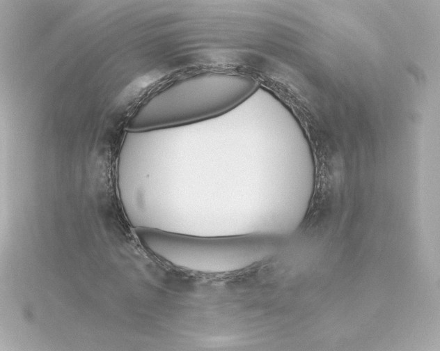 X0000115240773200911271842