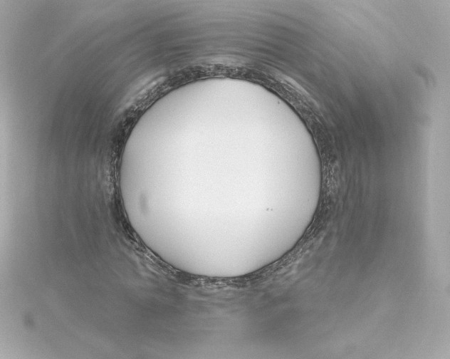 X0000115240774200911271842