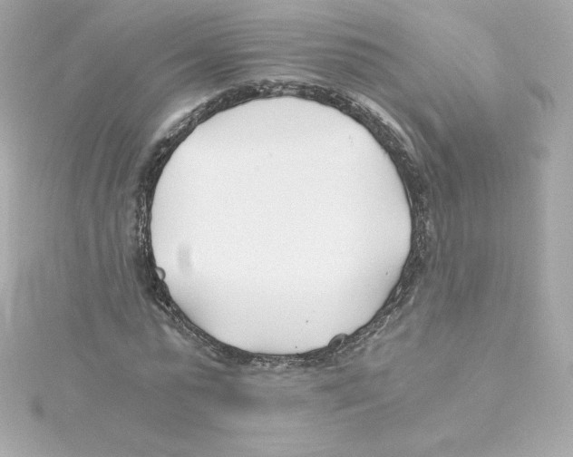 X0000115240775200911271842