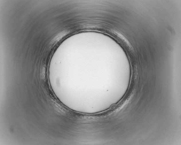 X0000115240777200911271842