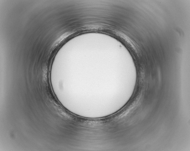 X0000115240778200911271842