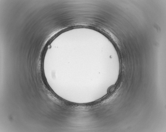 X0000115240779200911271842