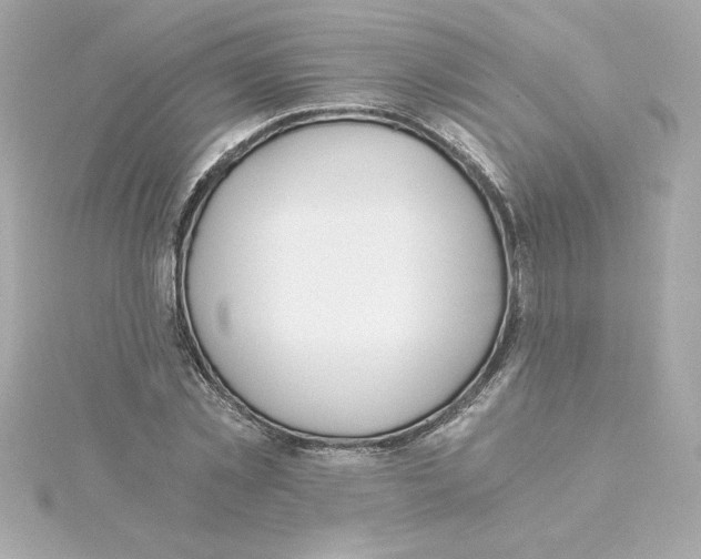 X0000115240781200911271842