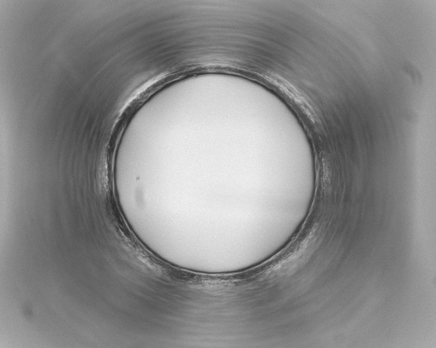 X0000115240782200911271842