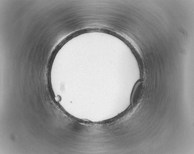 X0000115240783200911271842