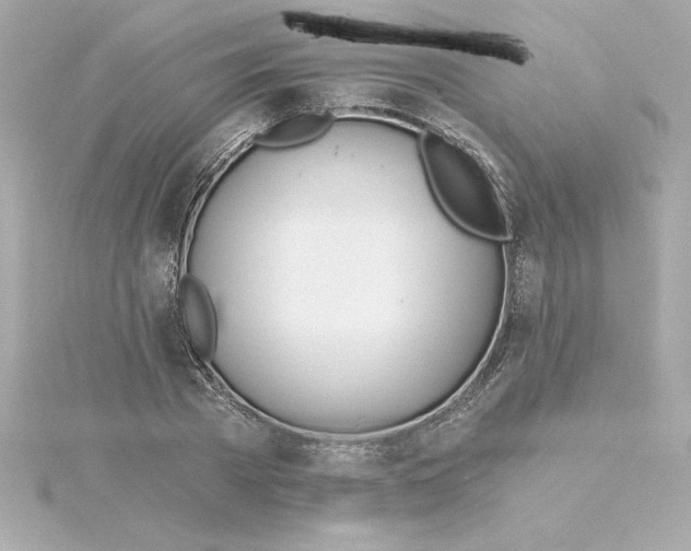 X0000115240785200911271842