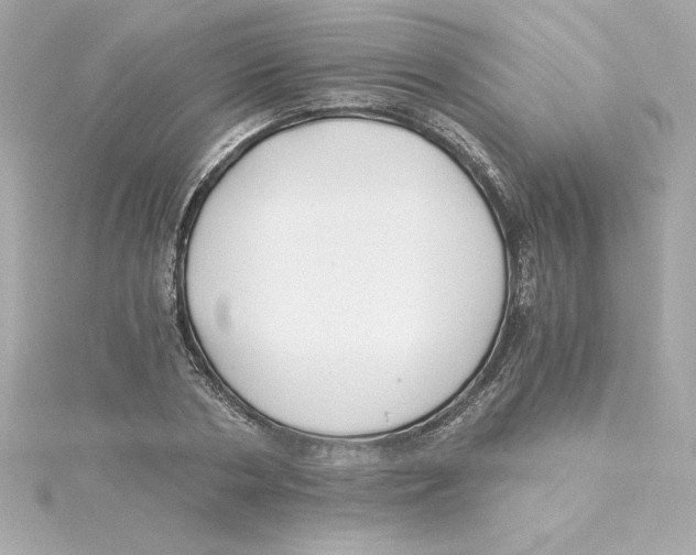 X0000115240786200911271842