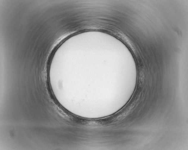 X0000115240787200911271842