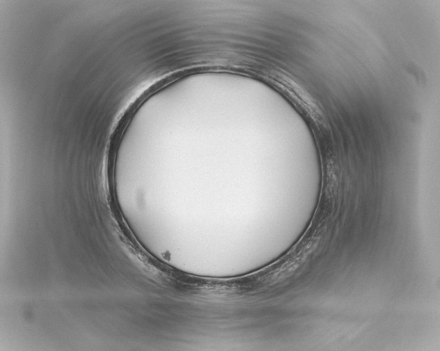 X0000115240788200911271842