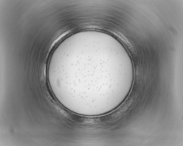 X0000115240790200911271842