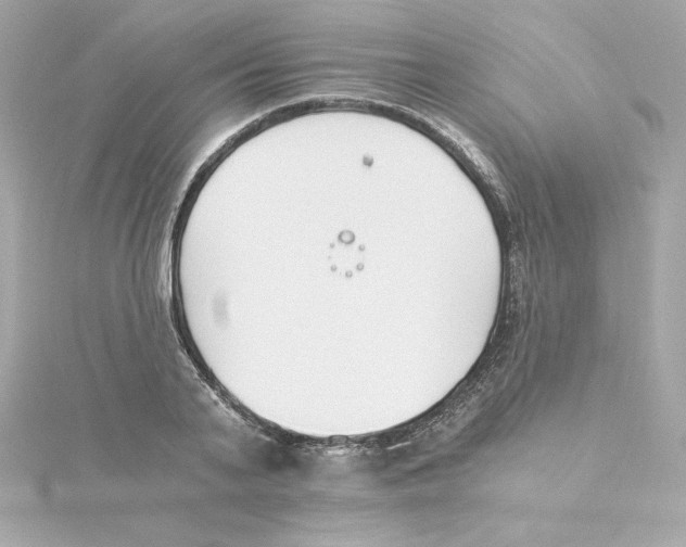 X0000115240791200911271842