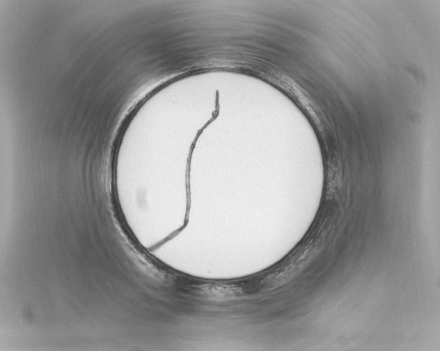 X0000115240795200911271842