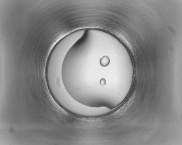 X0000115240797200911271842