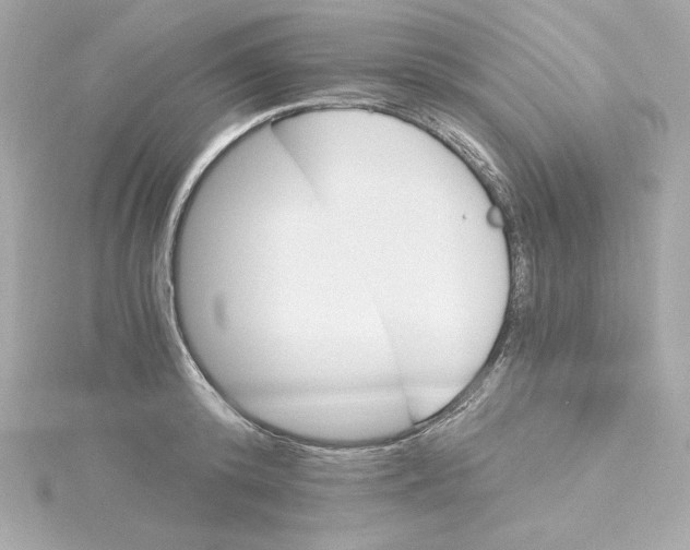 X0000115240800200911271842