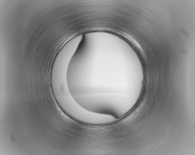 X0000115240801200911271842