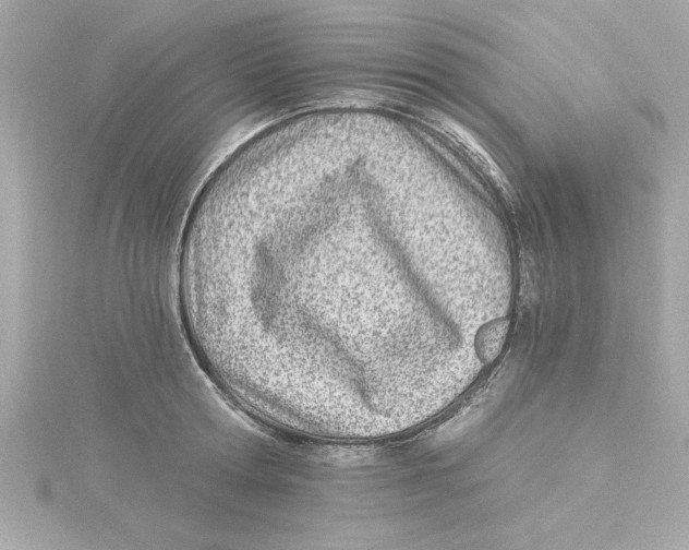 X0000115240802200911271842