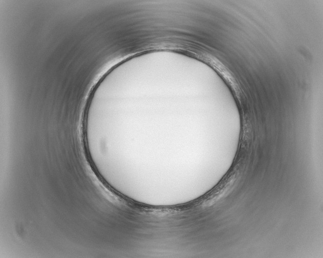 X0000115240803200911271842