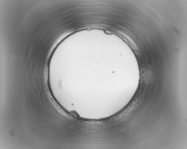 X0000115240804200911271842