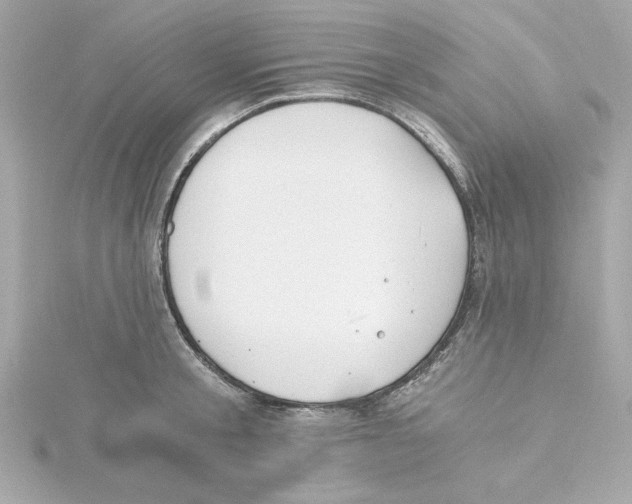 X0000115240805200911271842