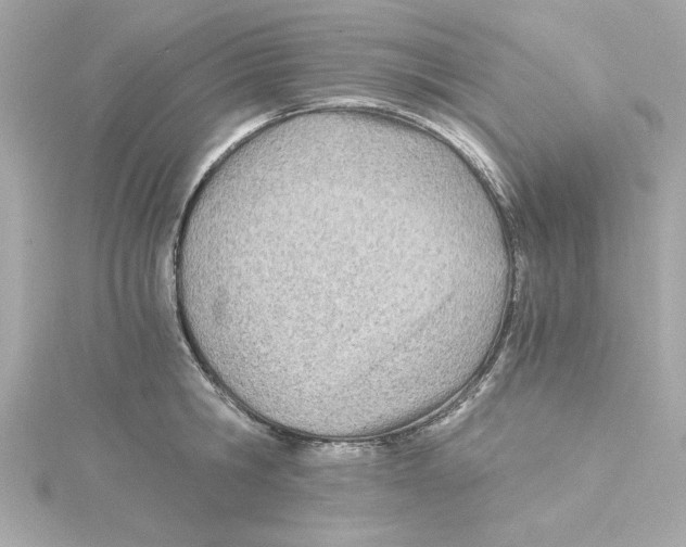 X0000115240806200911271842