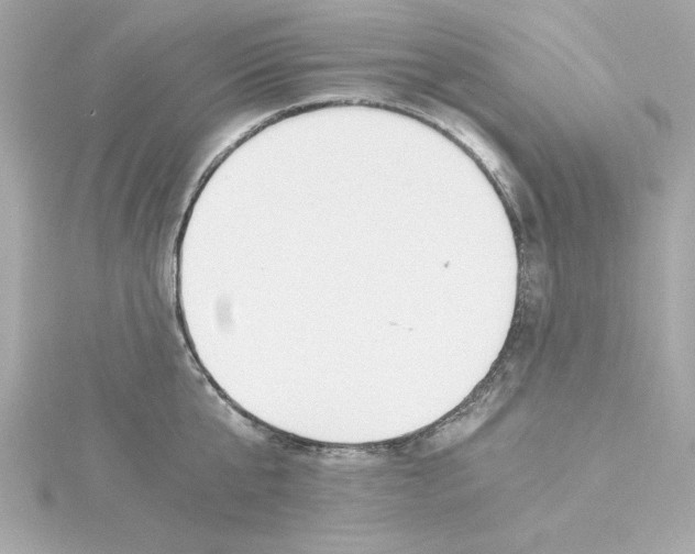 X0000115240807200911271842