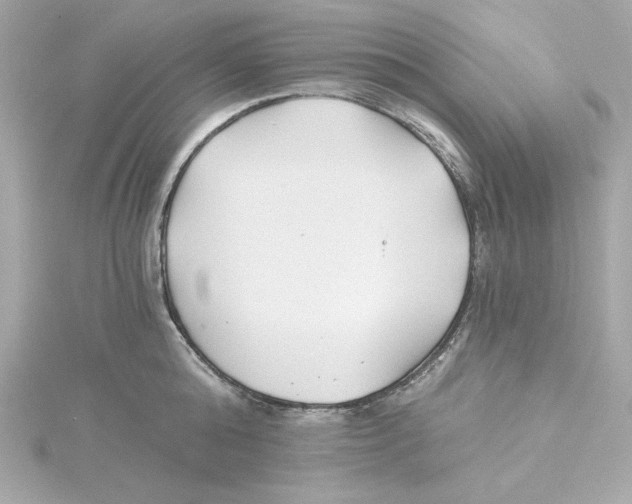 X0000115240808200911271842