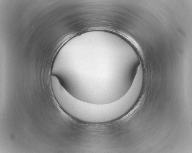 X0000115240809200911271842