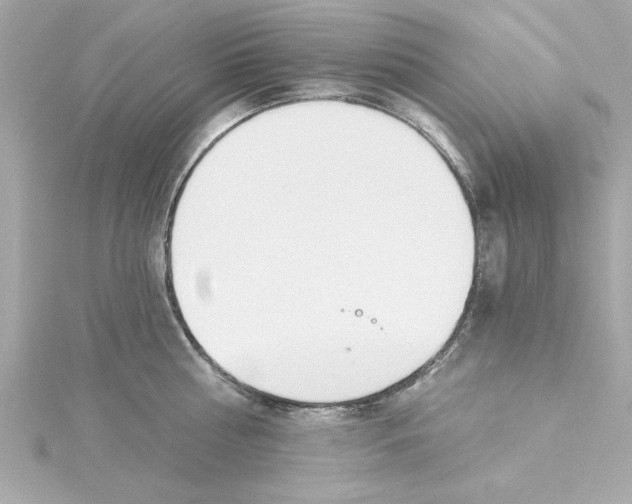 X0000115240810200911271842